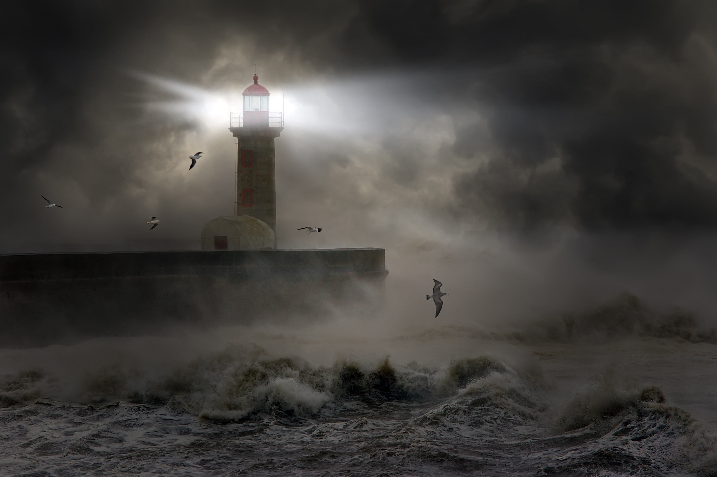Europe Atlantic Storm with Lighthouse and birds