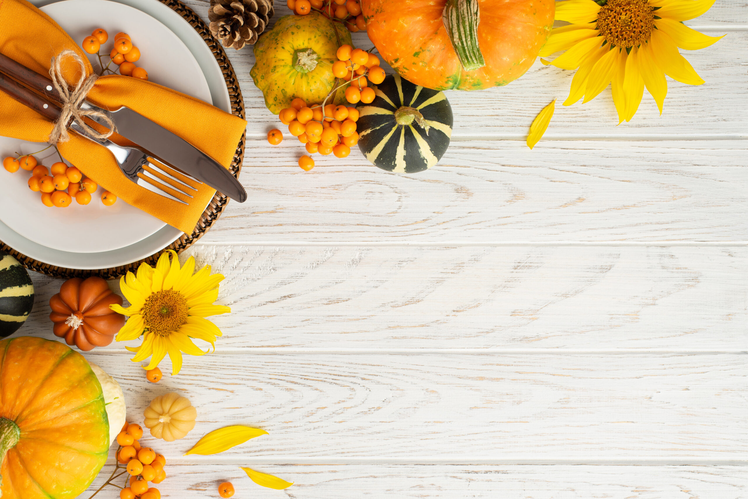 Thanksgiving day concept. Top view vertical photo of plate knife fork napkin sunflowers raw vegetables pumpkins pattypan squash and rowan berries on isolated white wooden table background